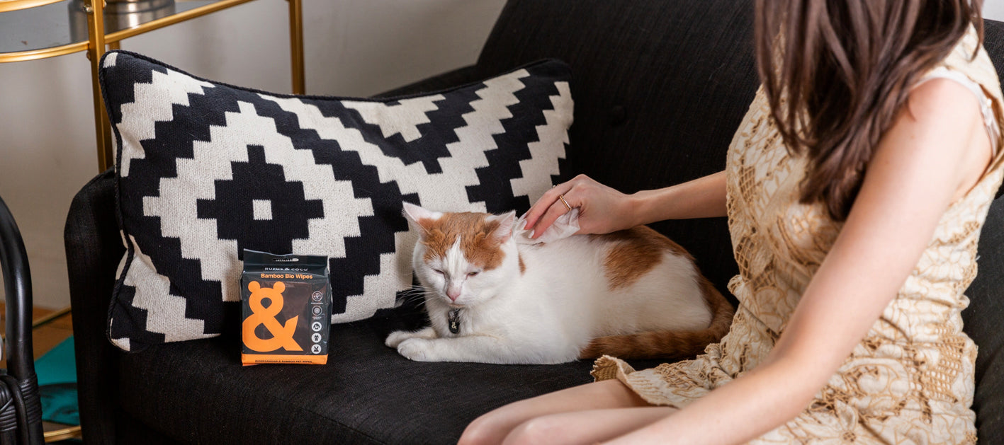 Baby wipes clearance safe for cats