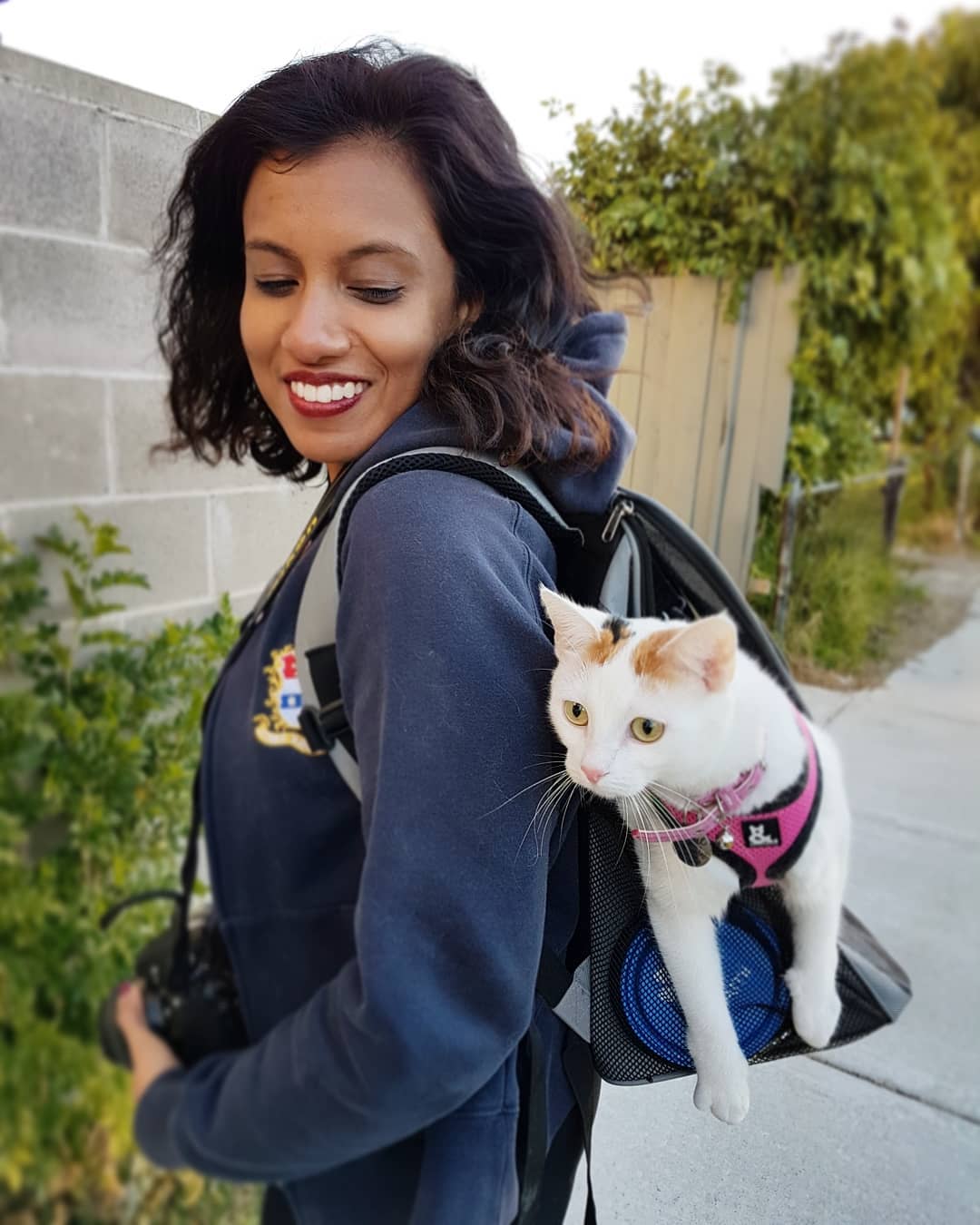 Want to Reduce Your Environmental Impact? Start With Your Cat Litter