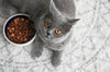 How to Feed a Fussy Cat