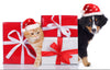 5 Gift Bundles For Your Pets