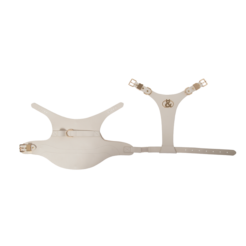 Coogee Leather Pet Harness - Rufus & Coco Australia