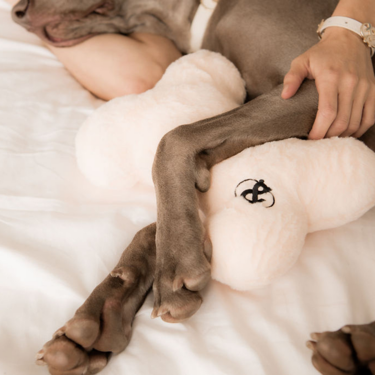Enmore Plush Heartbeat Pillow - Rufus & Coco Australia
