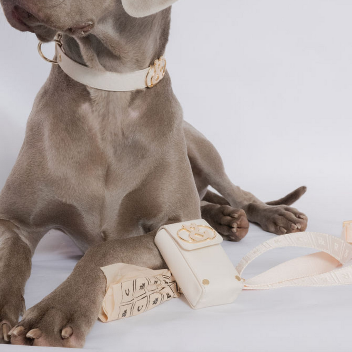 Manly Leather Poo Bag Holder - Rufus & Coco Australia