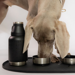 Belmore Stainless Steel 3 in 1 Bottle Set - Rufus & Coco Australia