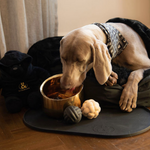 Bondi Silicone Feed Mat - Rufus & Coco Australia