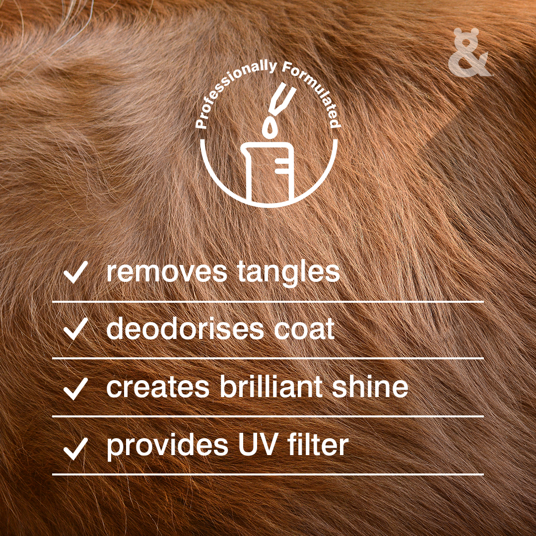 4in1 Detangler & Pamper Spray - Rufus & Coco Australia