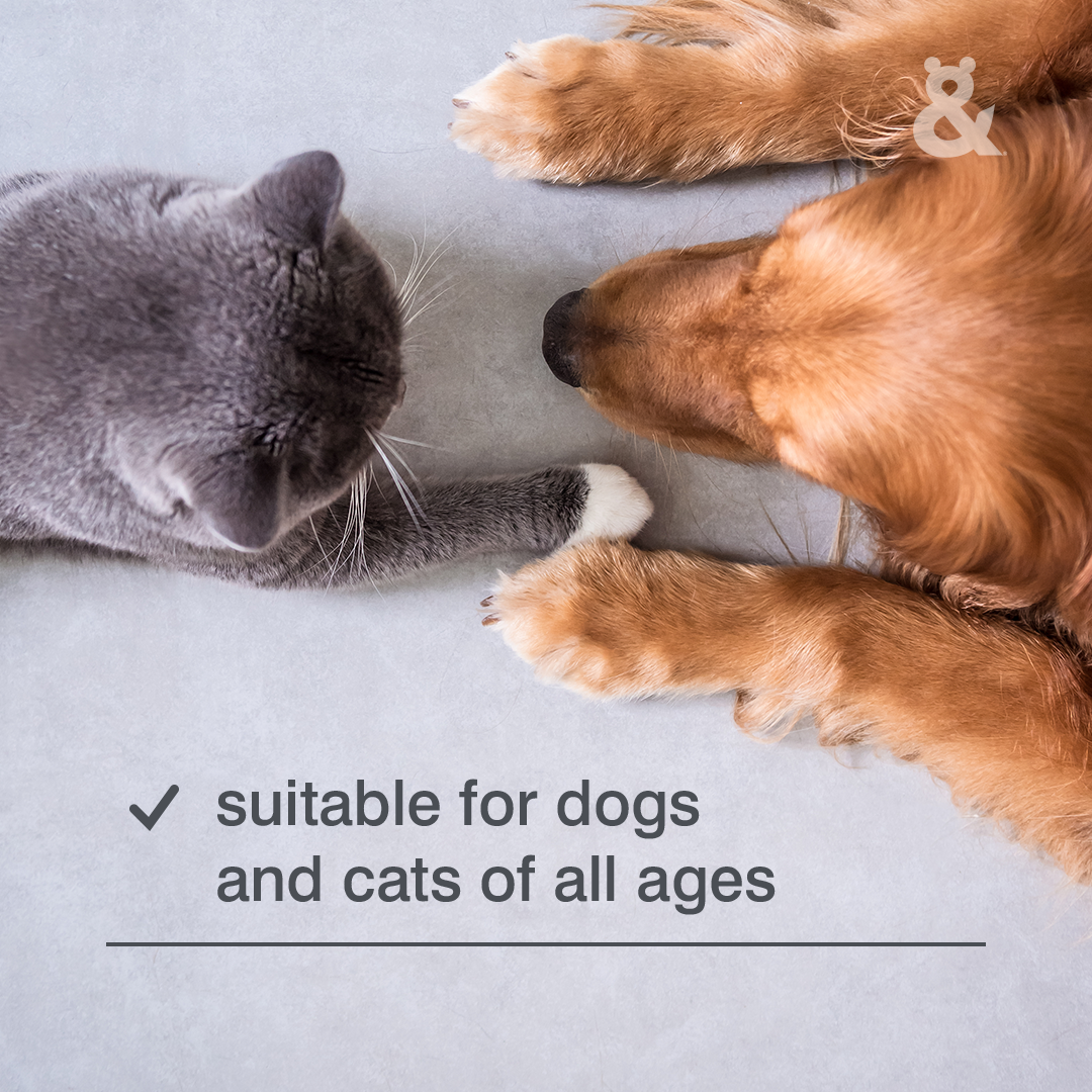 4in1 Detangler & Pamper Spray - Rufus & Coco Australia