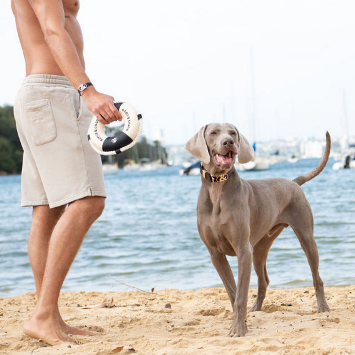 Seaforth Life Saver - Rufus & Coco Australia