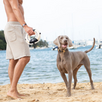 Seaforth Life Saver - Rufus & Coco Australia