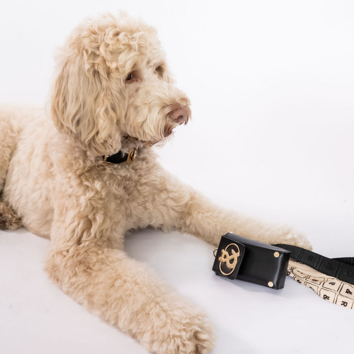 Manly Leather Poo Bag Holder - Rufus & Coco Australia