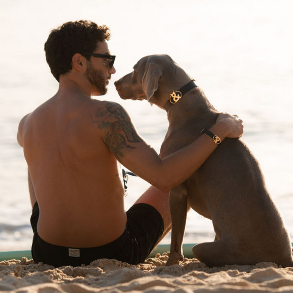 Balmain Leather Wrist Cuff - Rufus & Coco Australia