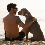 Balmain Leather Wrist Cuff - Rufus & Coco Australia