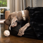 Rozelle Deluxe Pet Blanket - Rufus & Coco Australia