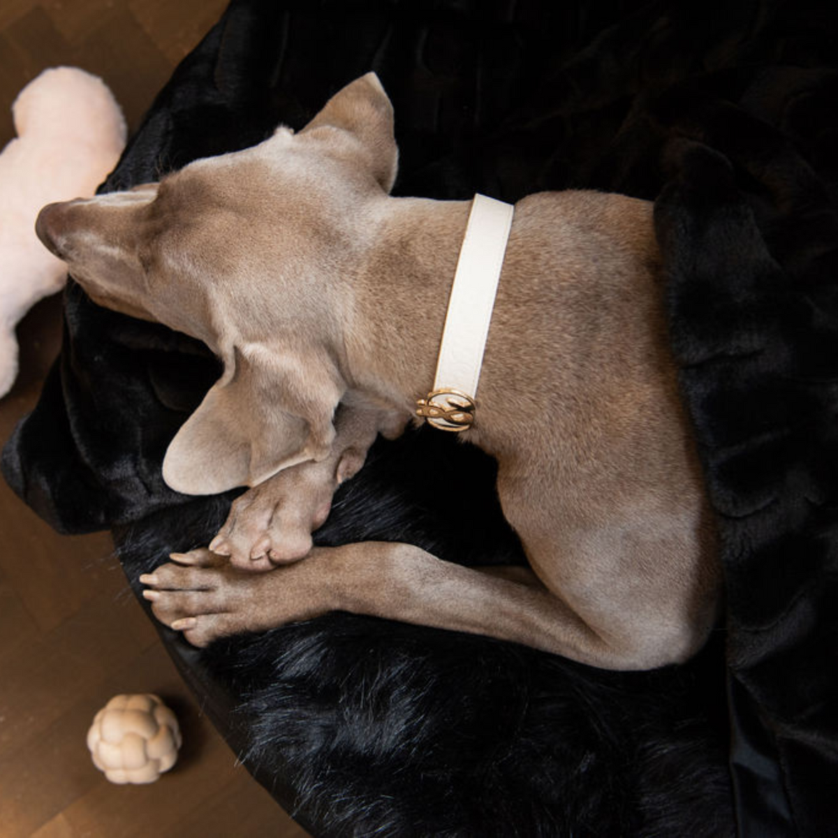 Rozelle Deluxe Pet Blanket - Rufus & Coco Australia