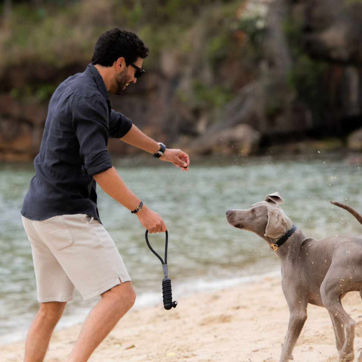 Clovelly Chew & Chase - Rufus & Coco Australia