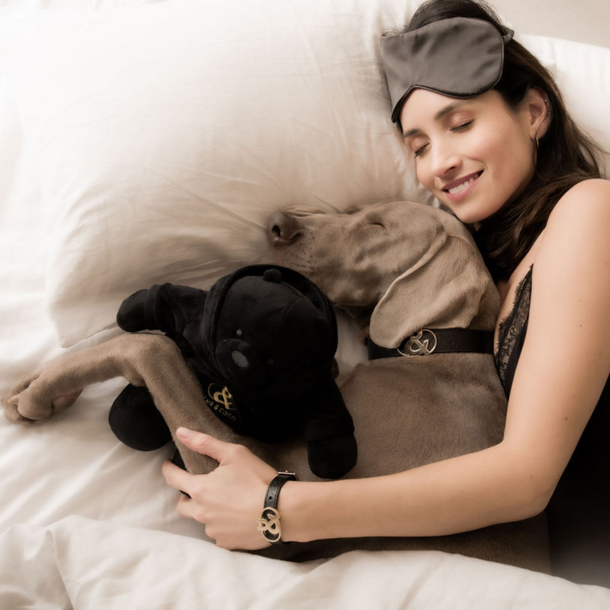 Darlington Bear - Rufus & Coco Australia