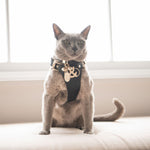 Coogee Leather Pet Harness - Rufus & Coco Australia