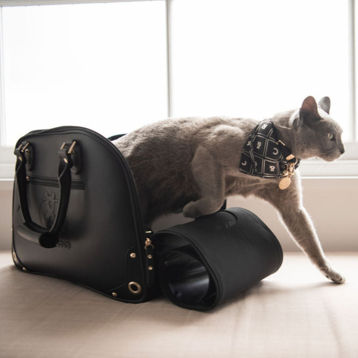 Glebe Leather Pet Carrier - Rufus & Coco Australia
