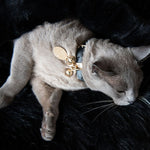 Rozelle Deluxe Pet Blanket - Rufus & Coco Australia