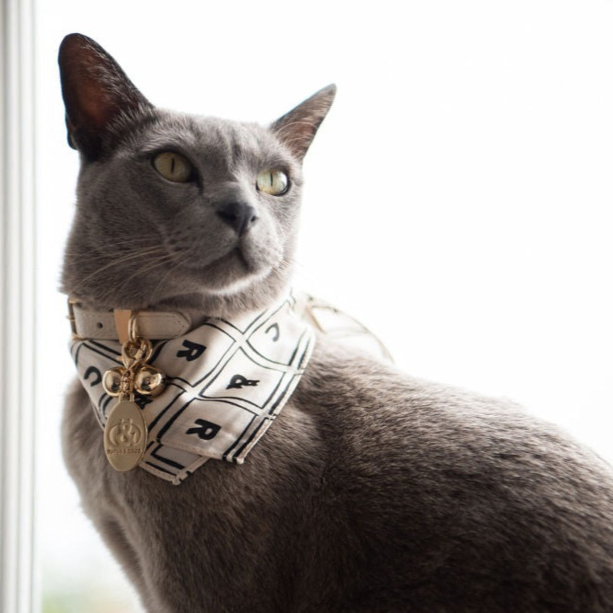 Mosman Silk Bandana - Rufus & Coco Australia