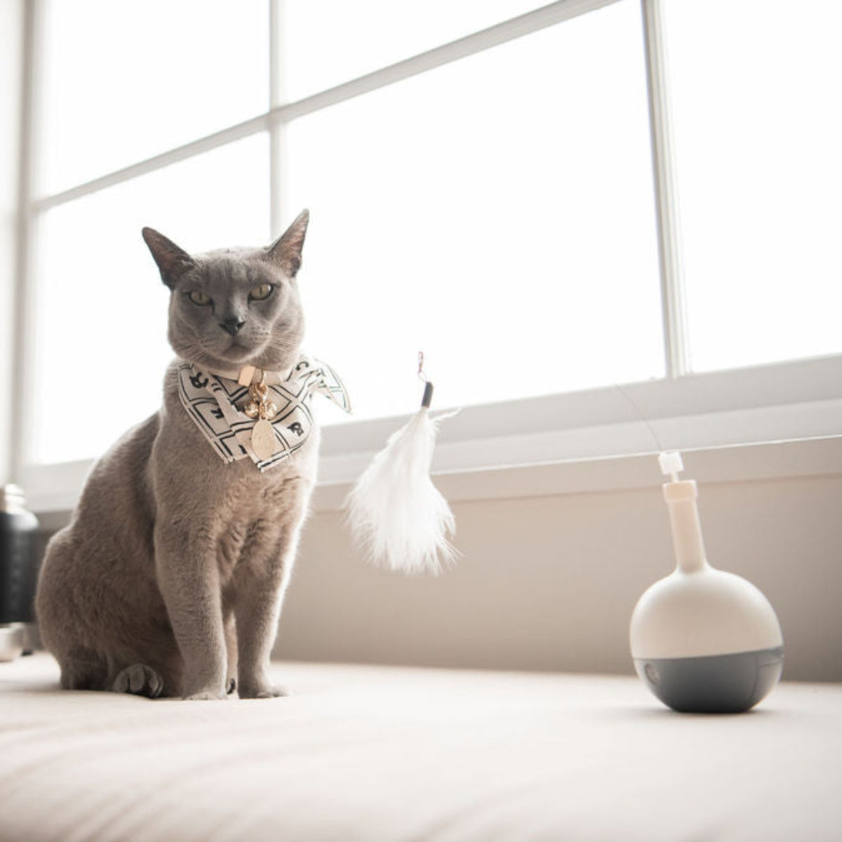 Belrose Interactive Cat Toy - Rufus & Coco Australia