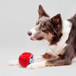 Clean & Chew Dental Toy - Rufus & Coco Australia