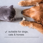 Ear & Wound Care - Rufus & Coco Australia