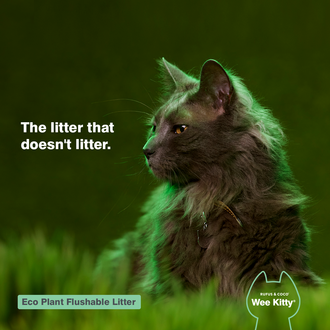 Wee Kitty Eco Plant Flushable Litter 4kg - Rufus & Coco Australia