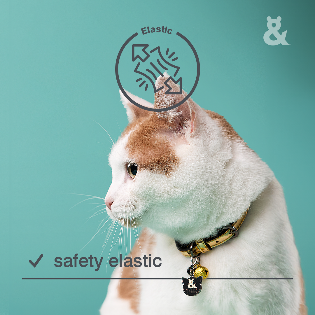 Metallic Cat Collar - Rufus & Coco Australia