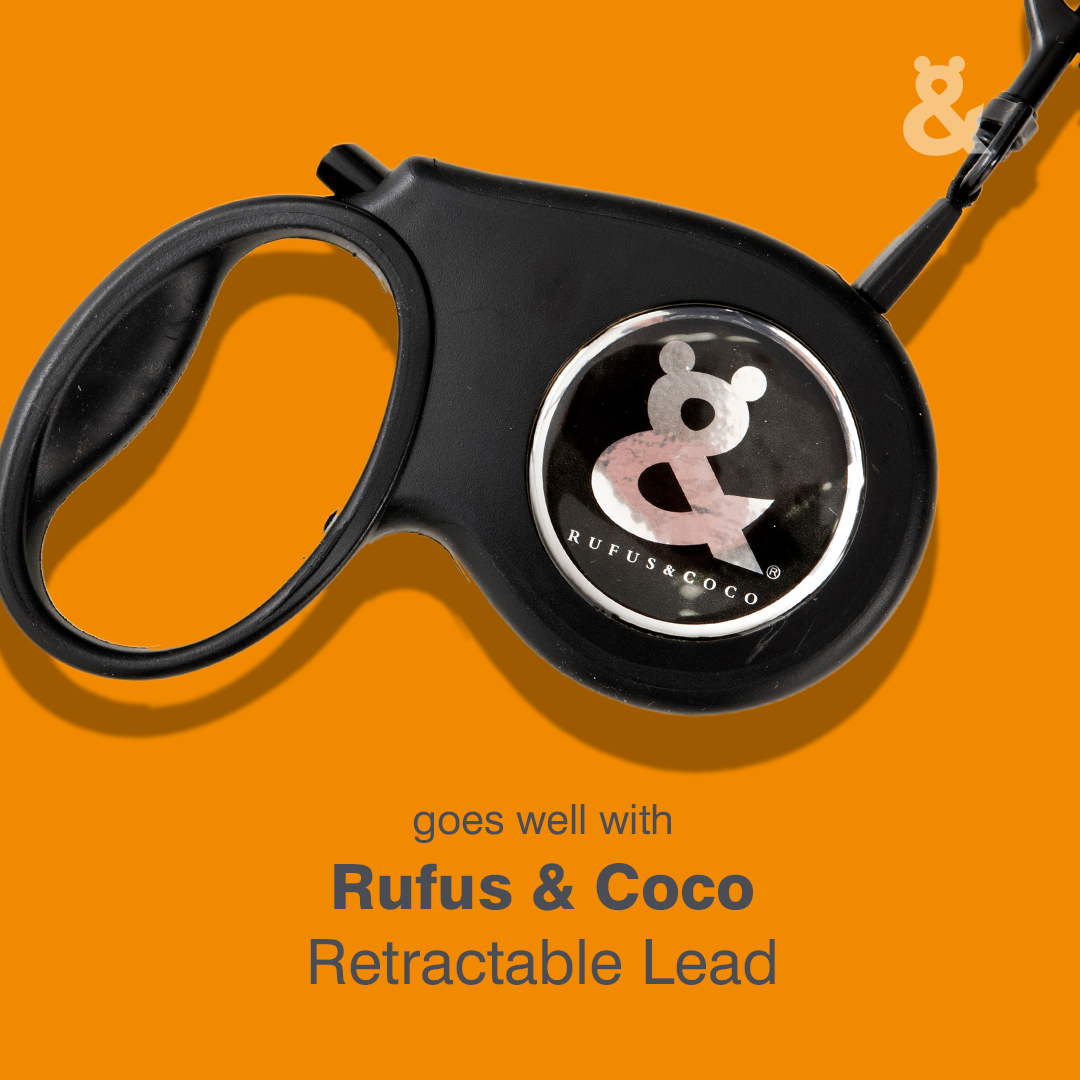 Metallic Cat Collar - Rufus & Coco Australia