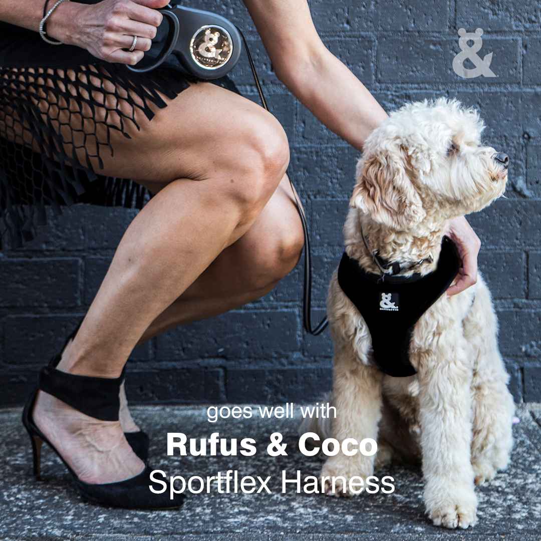 Retractable Lead - Rufus & Coco Australia