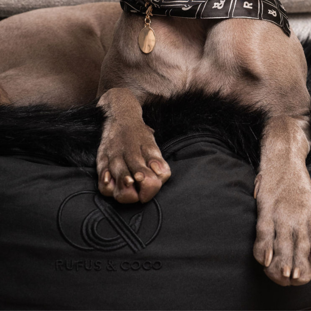 Double Bay Deluxe Bed - Rufus & Coco Australia