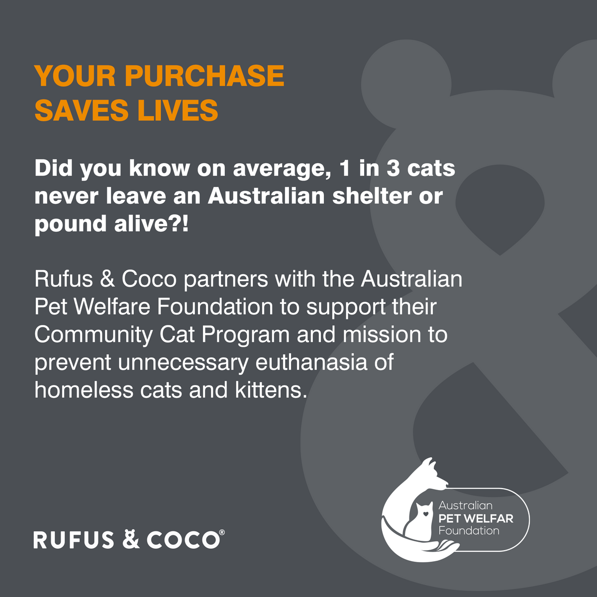 Zero Odour Natural Litter 2kg - Rufus & Coco Australia