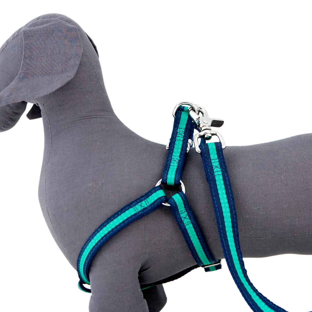The Bronte Dog Harness is designed to fit comfortably and securely around your dog's shoulders and chest. It prevents pressure around your dog's neck and makes walking a lot more comfortable. Available in two sizes and 3 colours - red, navy and leopard print.