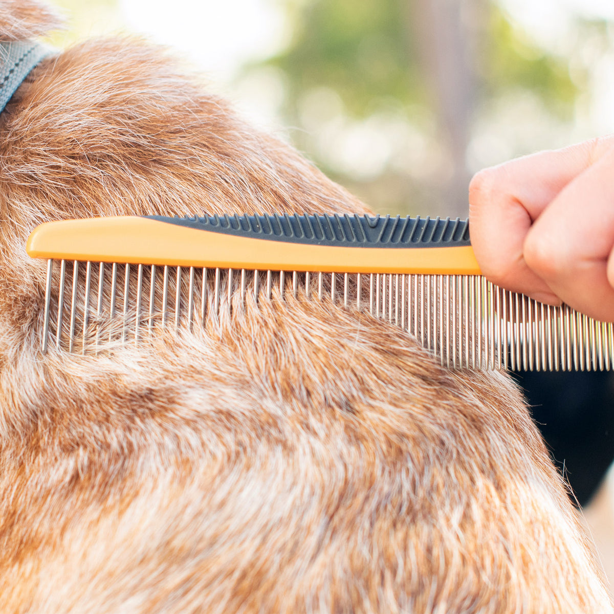 The Rufus & Coco Detangling Comb is the perfect pet grooming tool for gently removing knots and tangles from your dog or cat’s coat. It features an easy-grip handle and stainless-steel teeth - perfect for grooming pets of all sizes, especially the curliest dog and cat coats! The detangling comb is suitable for pets with an undercoat, long or curly-haired breeds.