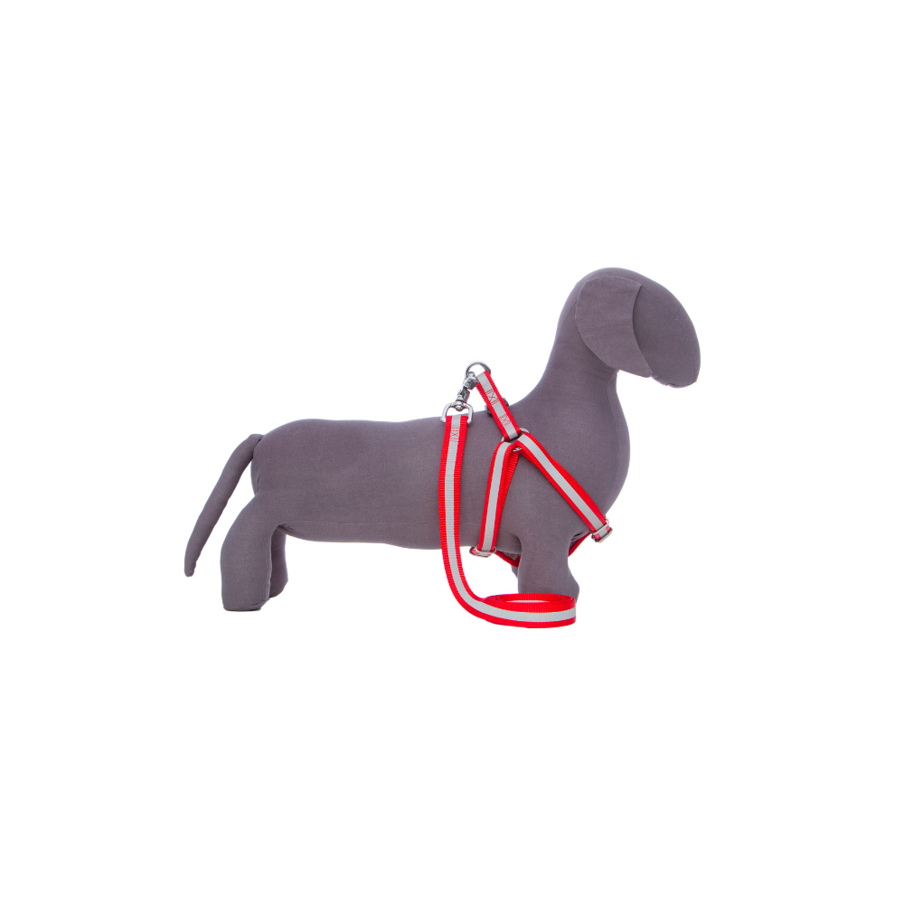 The Kings Cross Dog Harness is designed to fit comfortably and securely around your dog's shoulders and chest. It prevents pressure around your dog's neck and makes walking a lot more comfortable. Available in two sizes and two colours - red or black.