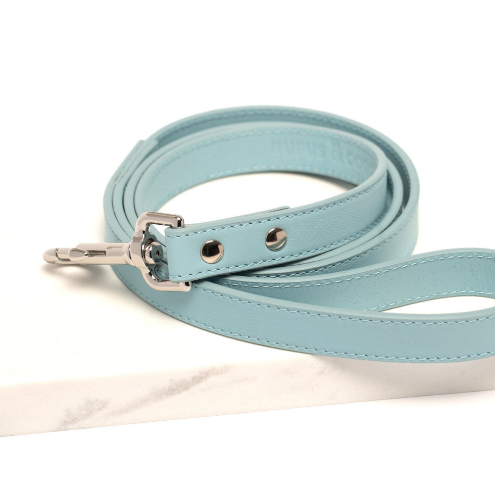 Blue hotsell dog lead