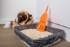 How to Control Litter Box Odour