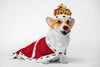 Royal Dogs Around the World