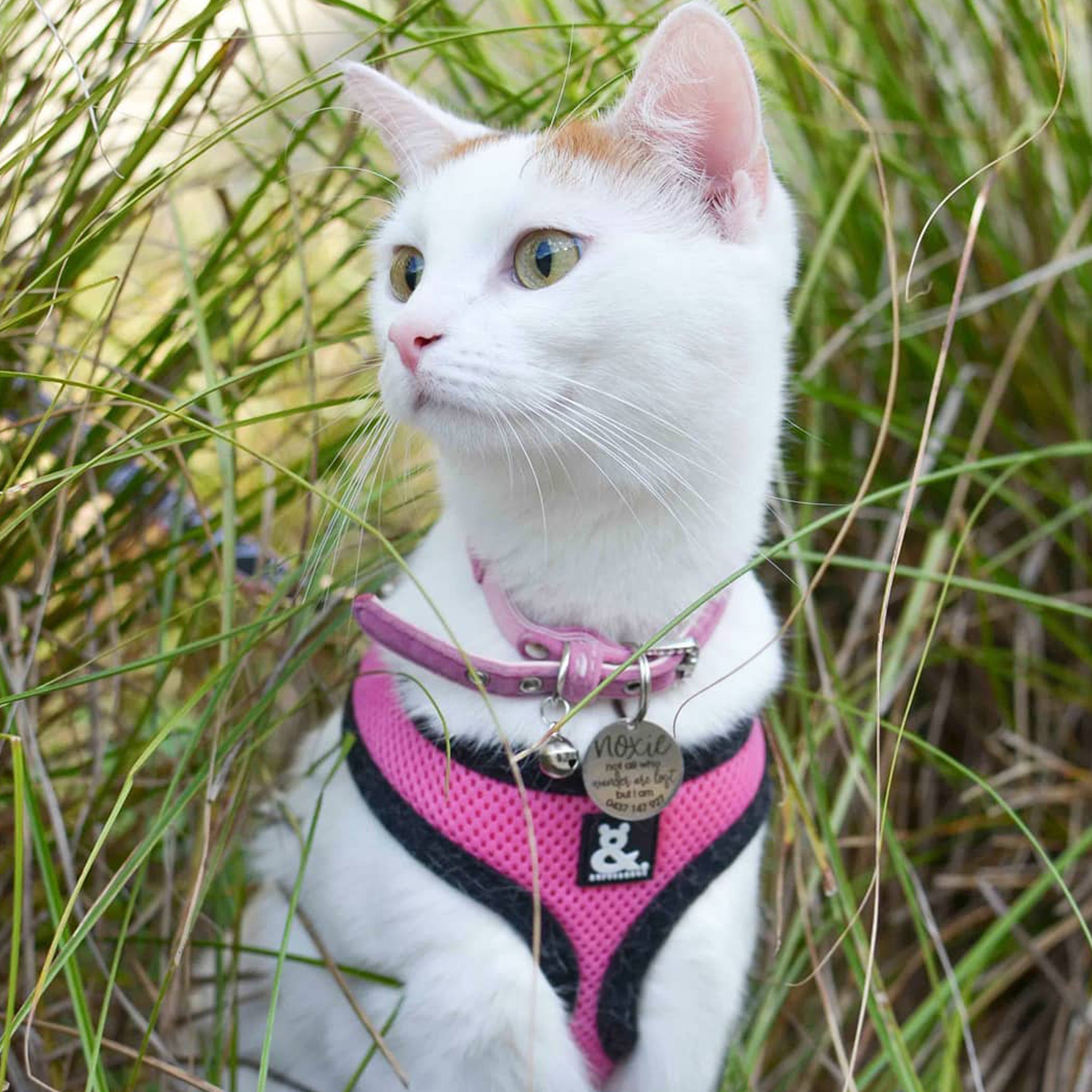 Cat Accessories | Rufus & Coco Australia