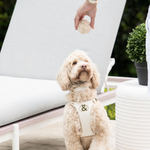 Chiswick Ball Duo - Rufus & Coco Australia