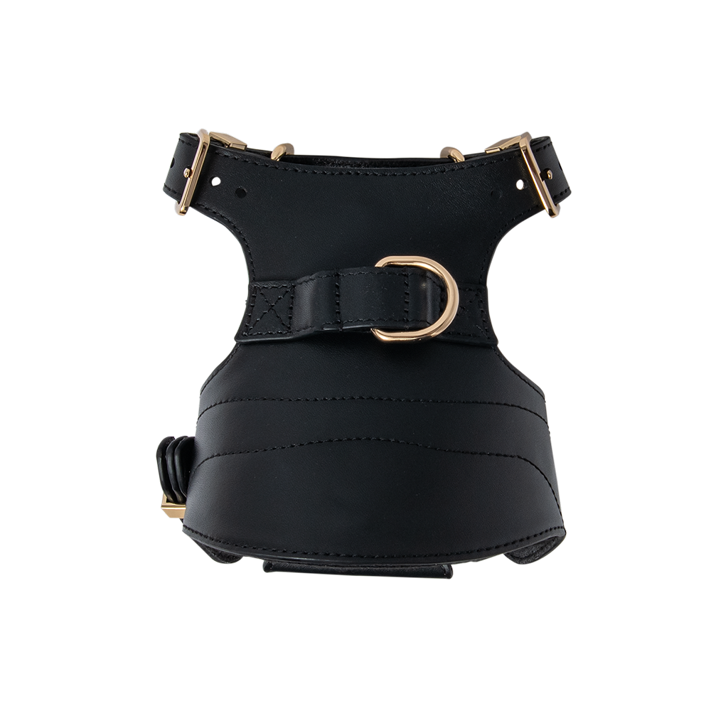 Coogee Leather Pet Harness