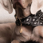 Rose Bay Dog ID Tag - Rufus & Coco Australia