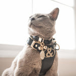 Rose Bay ID Tag - Rufus & Coco Australia