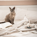 Belrose Interactive Cat Toy - Rufus & Coco Australia