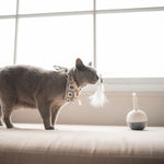 Belrose Interactive Cat Toy - Rufus & Coco Australia
