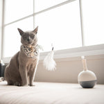 Belrose Interactive Cat Toy - Rufus & Coco Australia