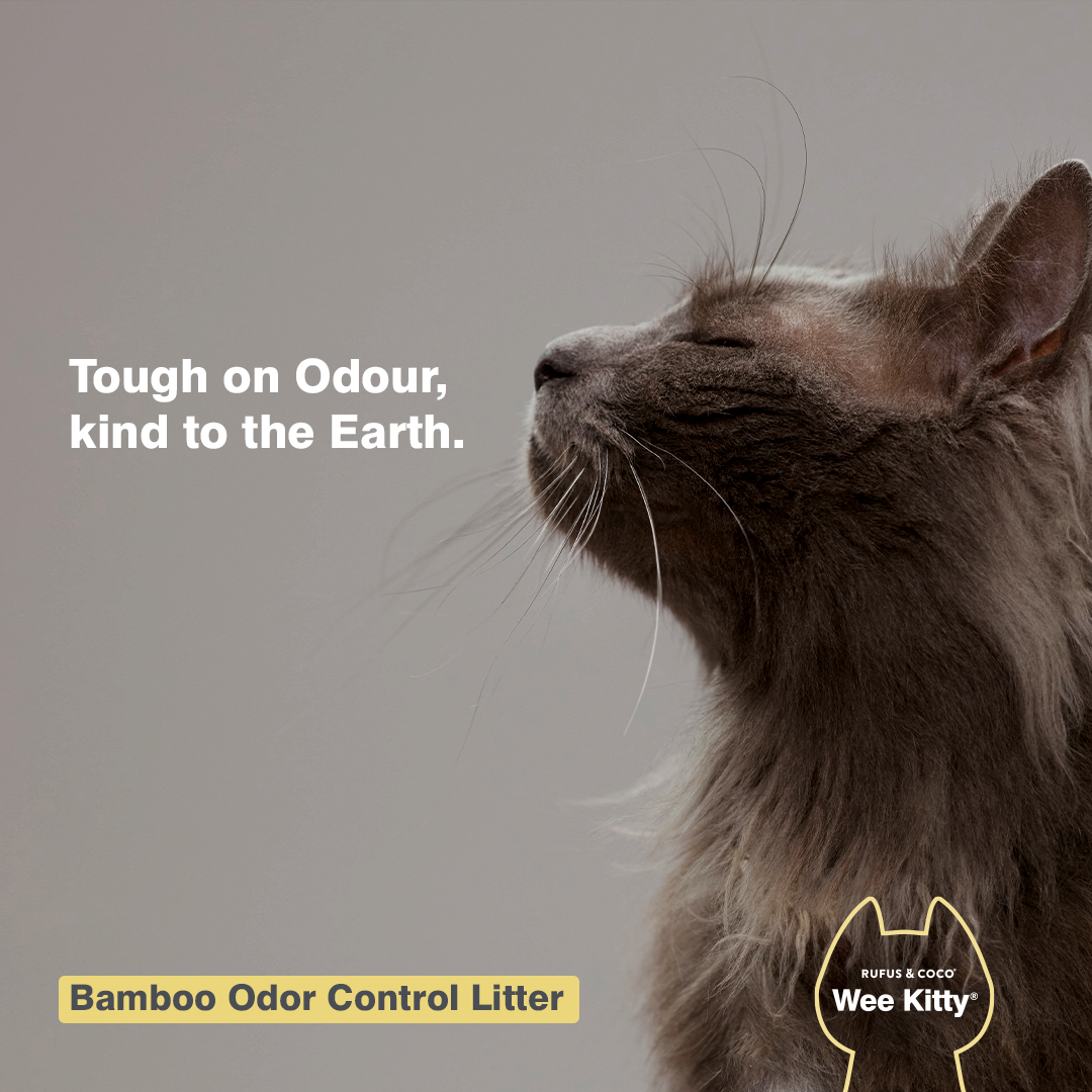 Wee Kitty Bamboo Odor Control Litter 2kg - Rufus & Coco Australia