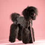 Berlin Leather Collar & Lead Set (Rose Gold)