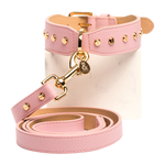 Berlin Leather Collar & Lead Set (Rose Gold)